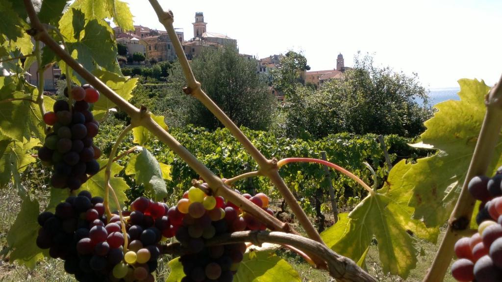 B&B Ca' De Pippu Diano Castello Dış mekan fotoğraf