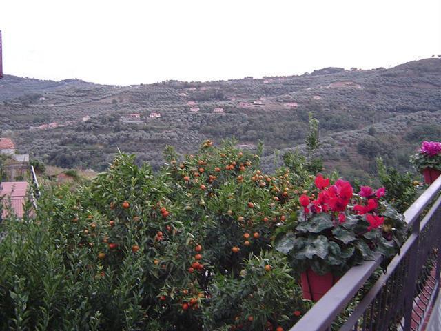 B&B Ca' De Pippu Diano Castello Dış mekan fotoğraf